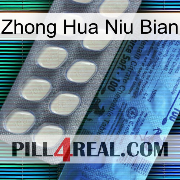 Zhong Hua Niu Bian 34